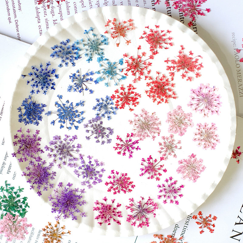 24pcs, 2-2.5cm, Nature Dyed Mi – обзор и цена Resin Art Frame