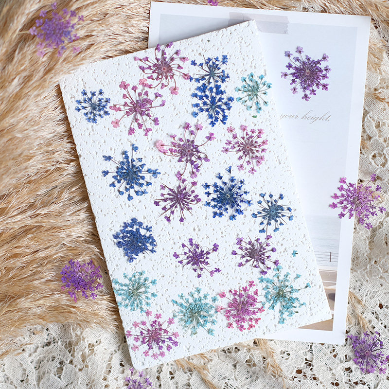 24pcs, 2-2.5cm, Nature Dyed Mi – обзор и цена Resin Art Frame